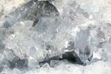 Blue Celestine (Celestite) Crystal Geode - Madagascar #87132-2